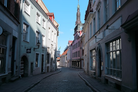 white and brown concrete buildings during daytime in Town Hall Square Estonia