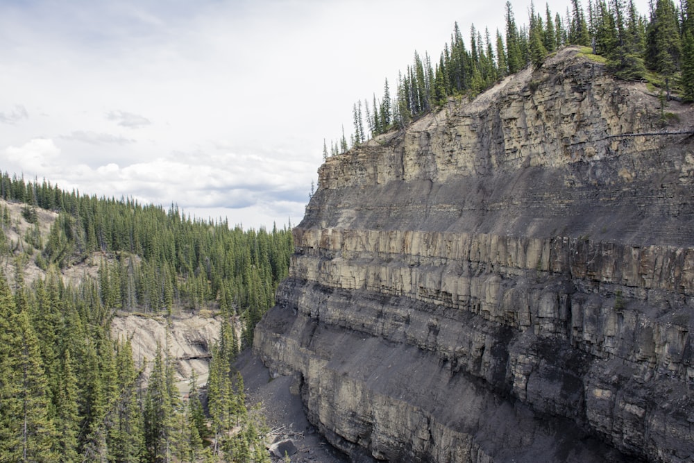 green trees on brown rocky mountain during daytime