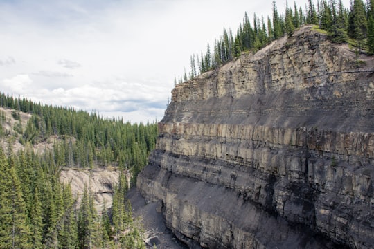 green trees on brown rocky mountain during daytime in Nordegg Canada