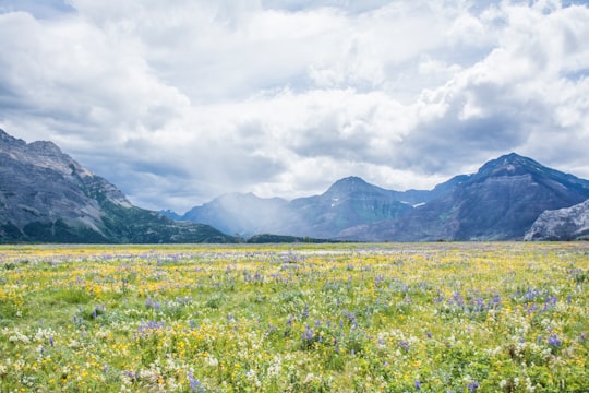 Waterton Lakes National Park of Canada things to do in Waterton Park