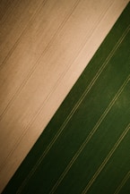 brown and green striped textile