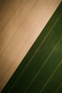 brown and green striped textile