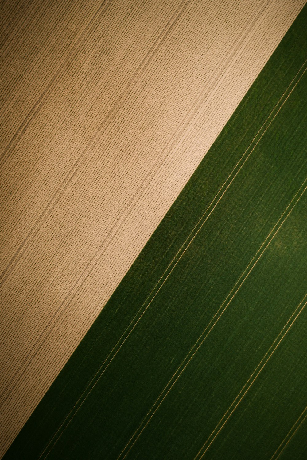 brown and green striped textile