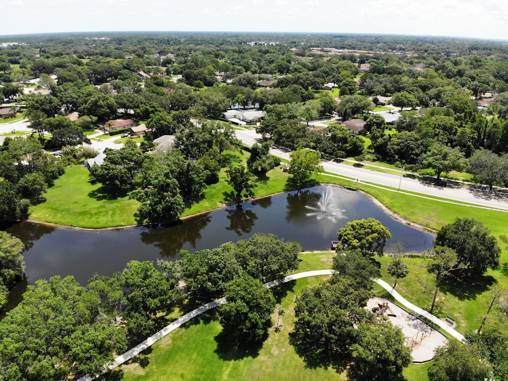 aerial view of green trees and river during daytime