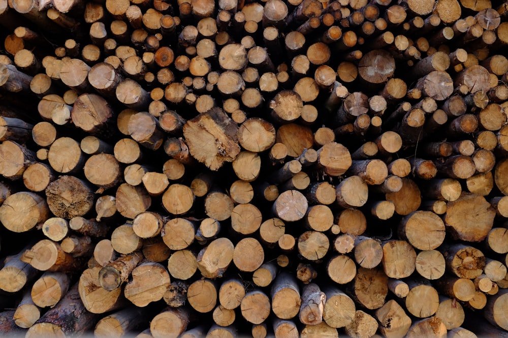 stack of brown wooden logs