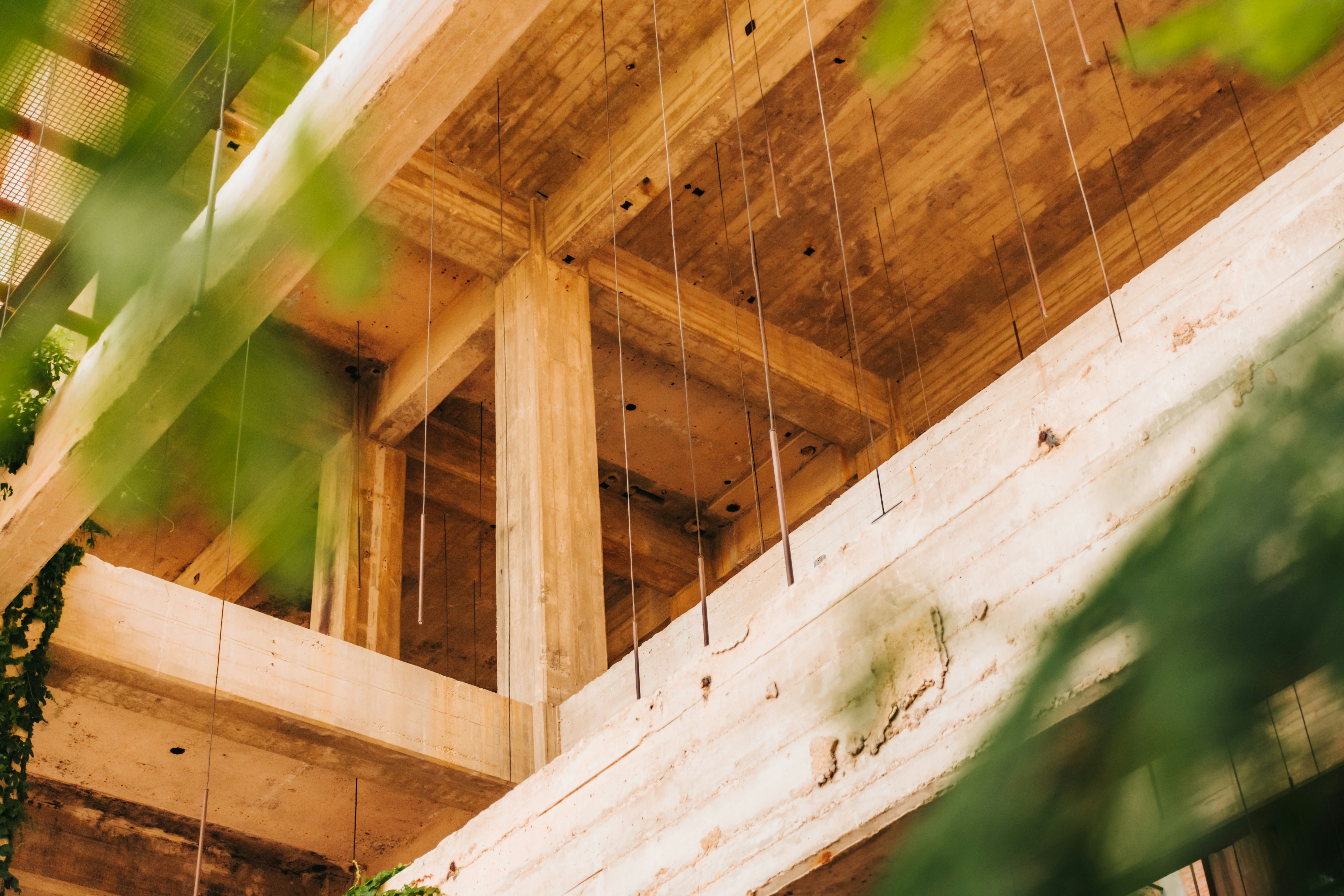 brown wooden ceiling with green leaves, Concrete structure 