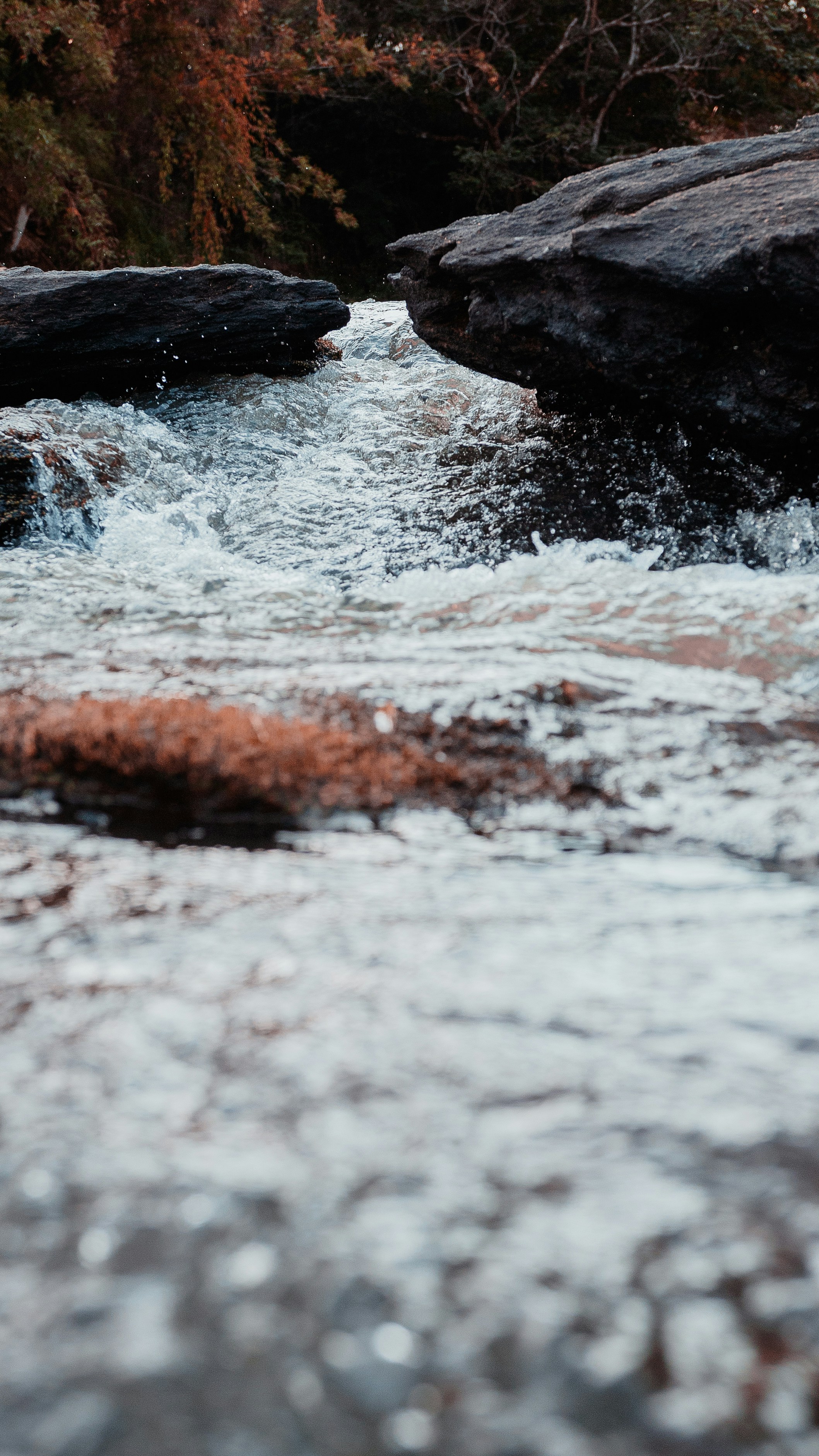 Photo by heleno_kaizer