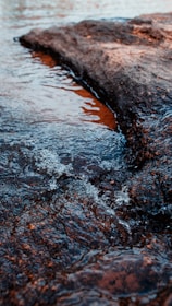Water gently flows over a dark, textured rock surface with small bubbles. The scene captures the dynamic movement of the clear water and the contrasting texture of the rock.