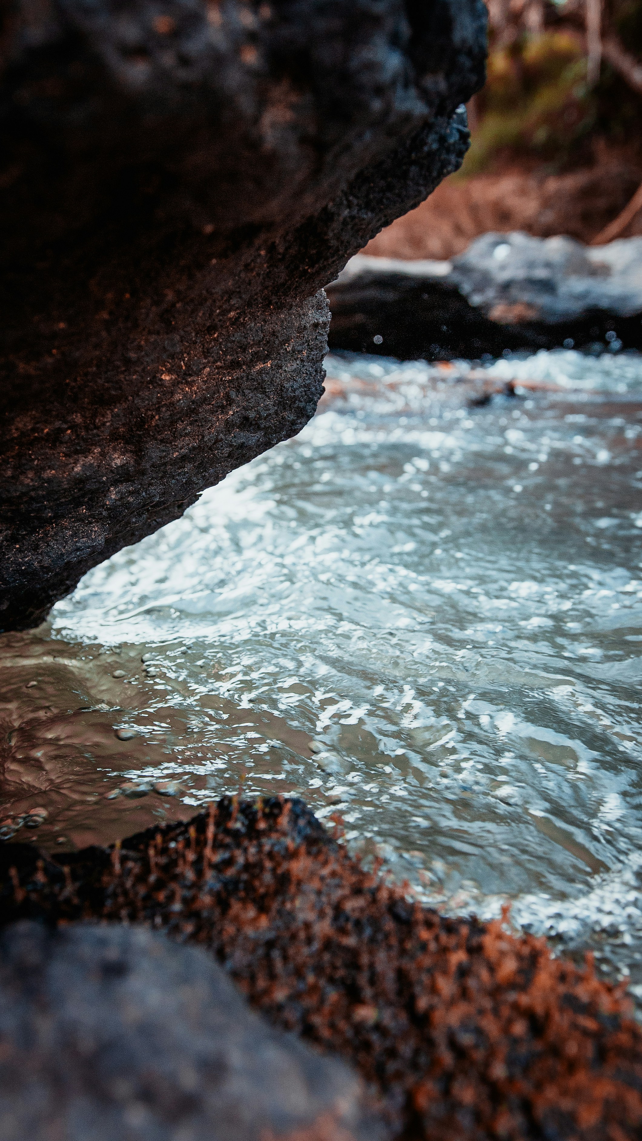 Photo by heleno_kaizer