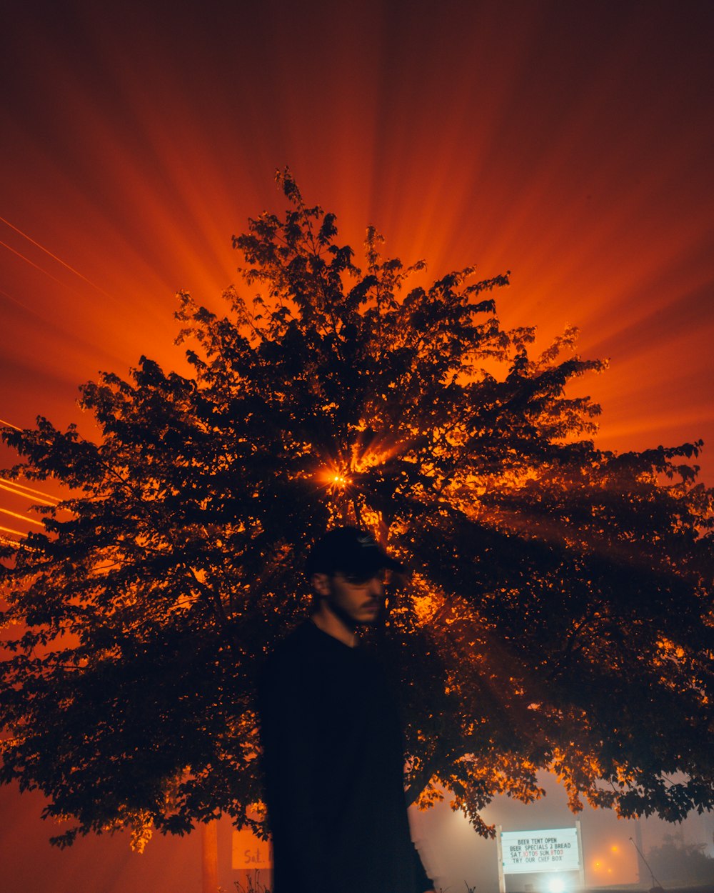 silhouette of man standing near tree during sunset