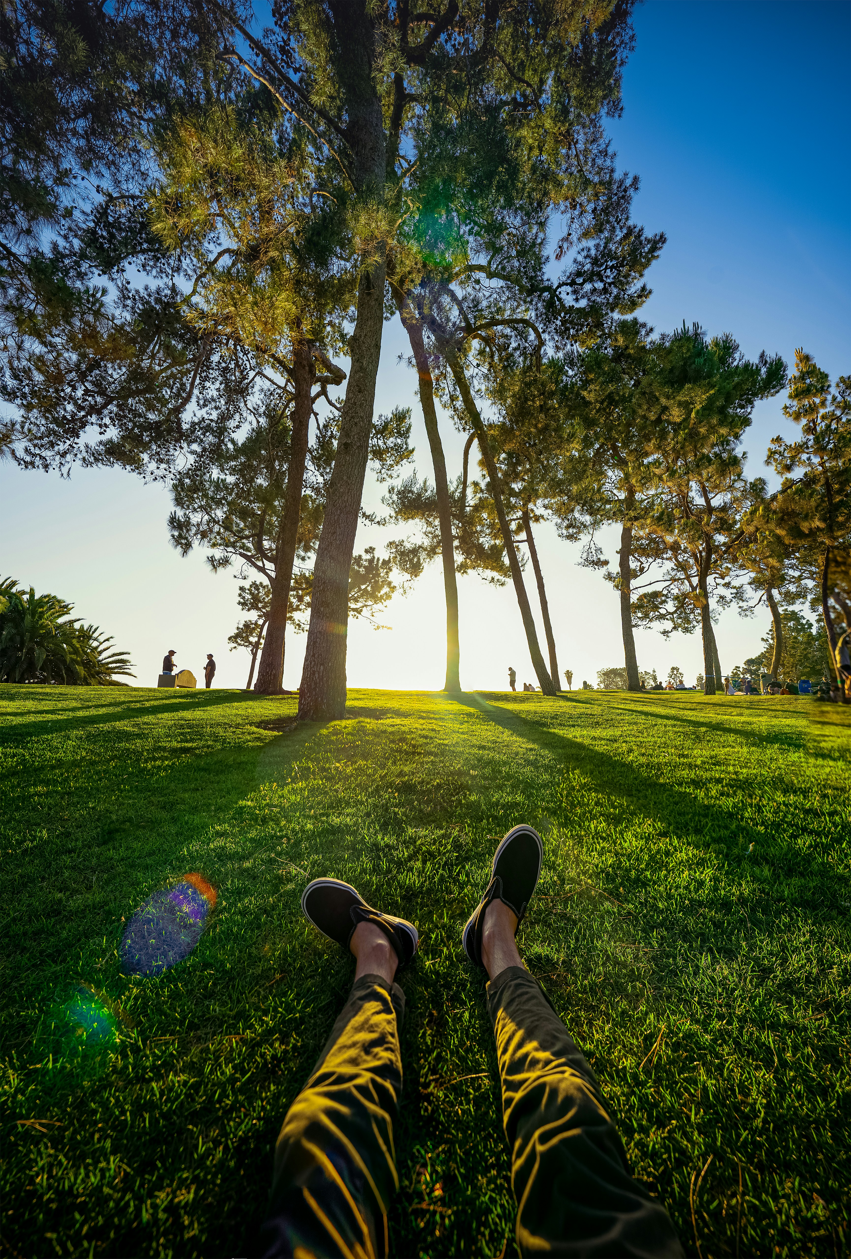 person in black shoes sitting on grass field near trees during daytime
