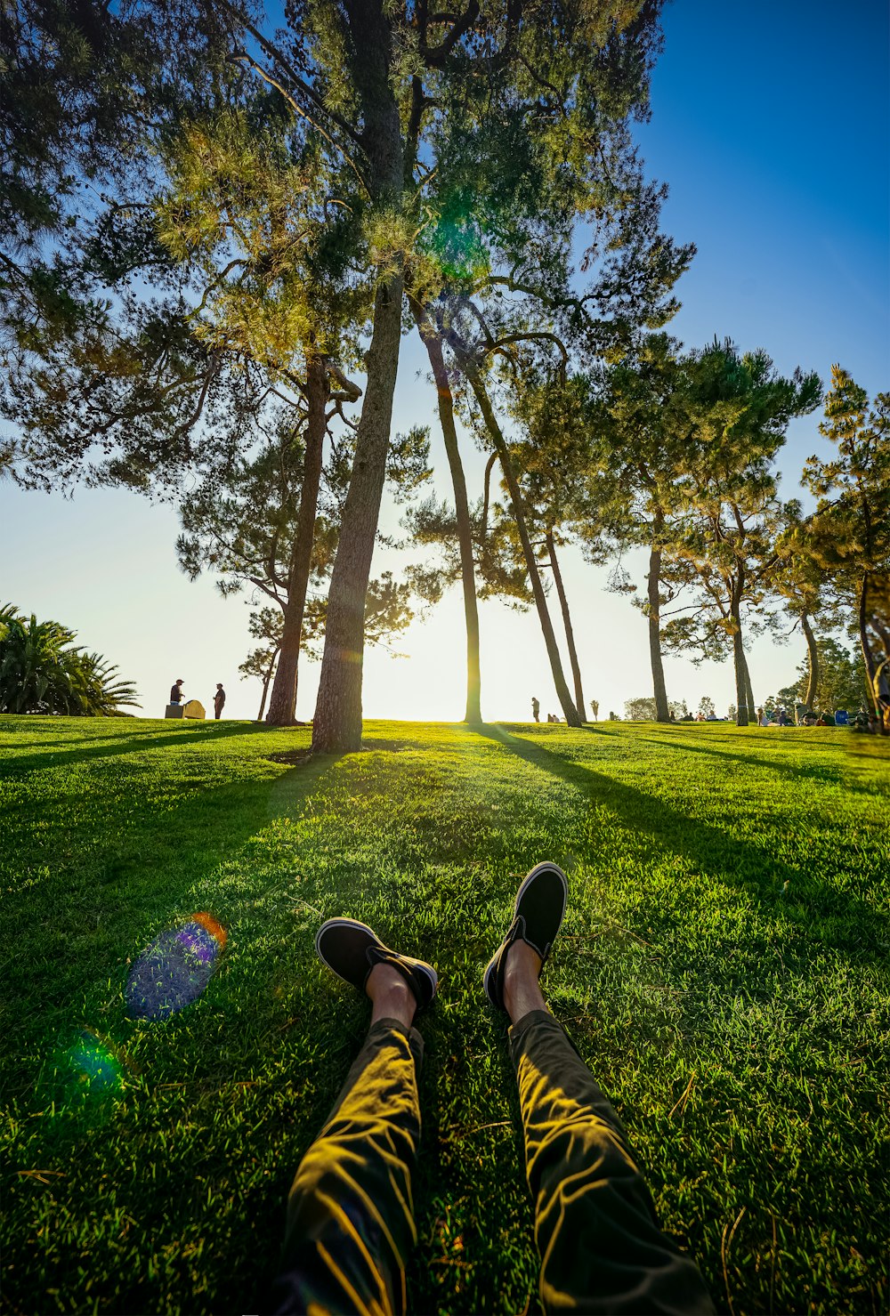 person in black shoes sitting on grass field near trees during daytime