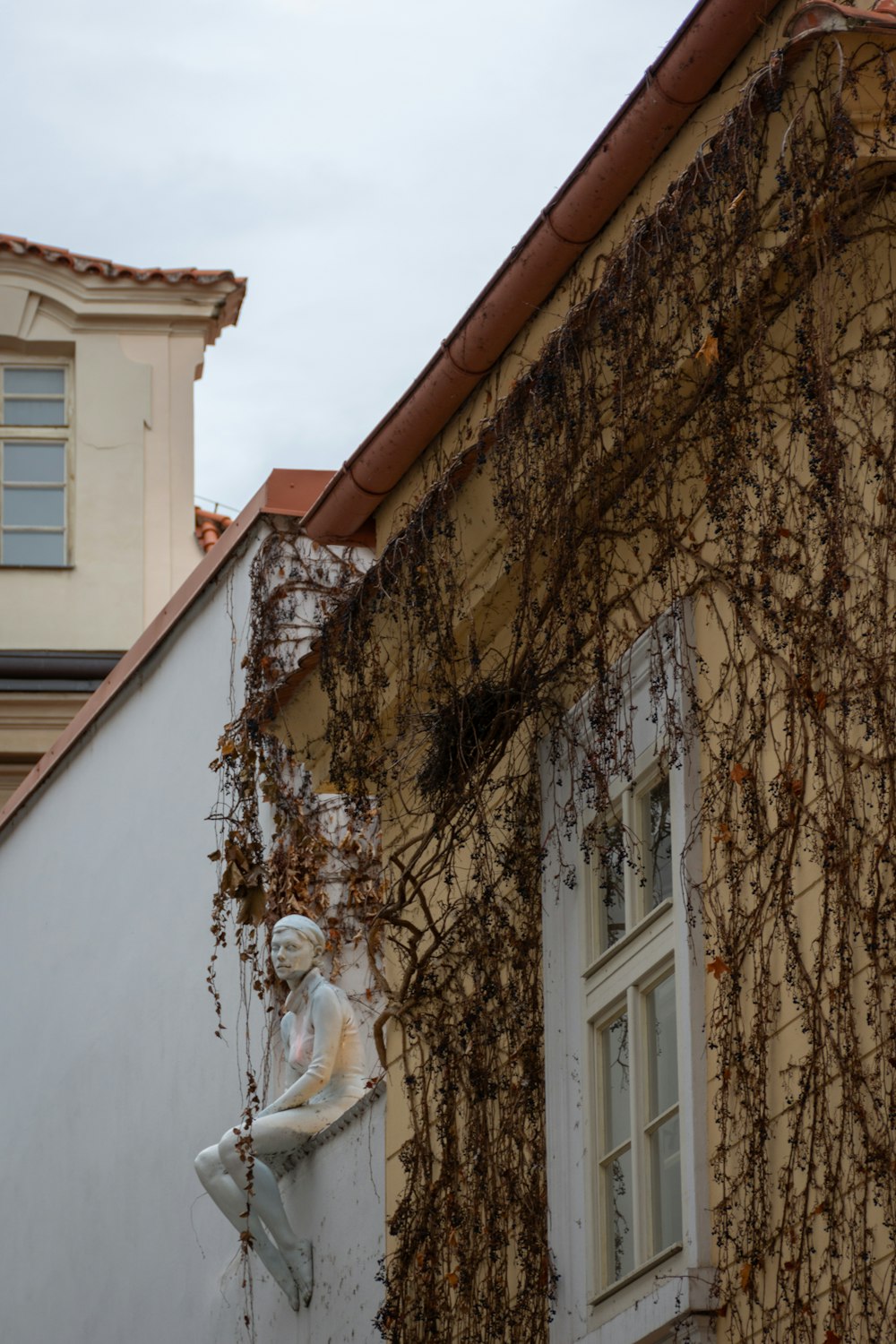 white concrete building with brown and white tree