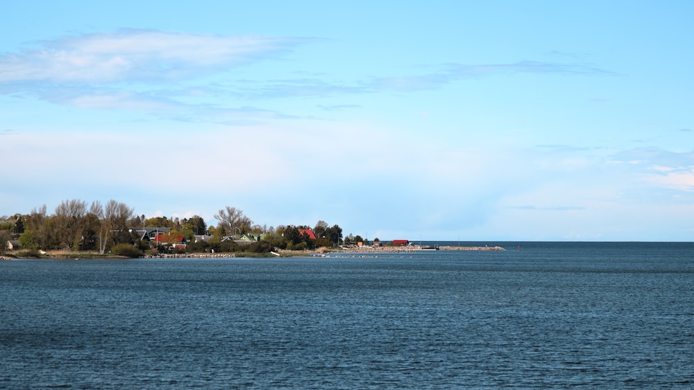 arbres verts sur l’île pendant la journée