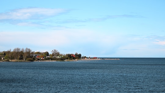 green trees on island during daytime in Kaberneeme Estonia