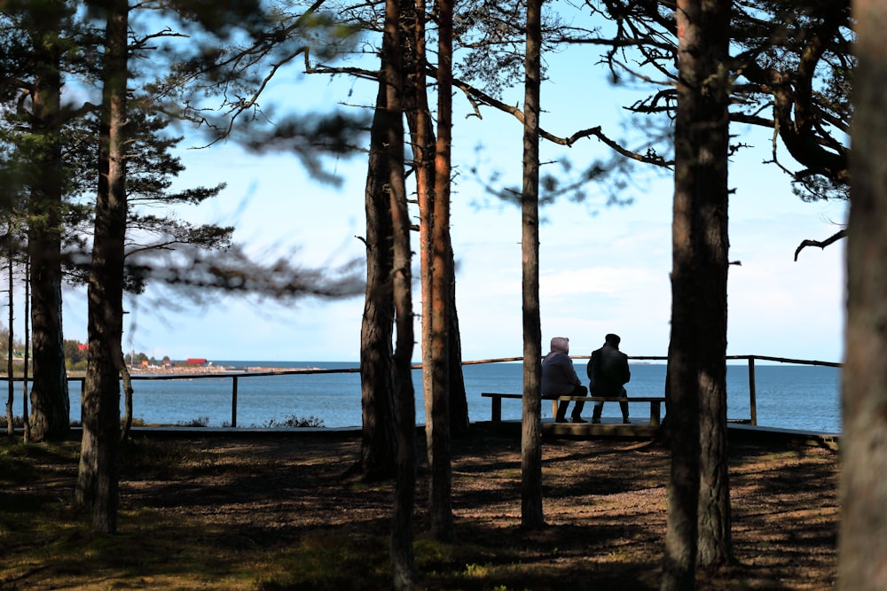 people sitting on bench near body of water during daytime