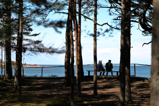 people sitting on bench near body of water during daytime in Kaberneeme Estonia