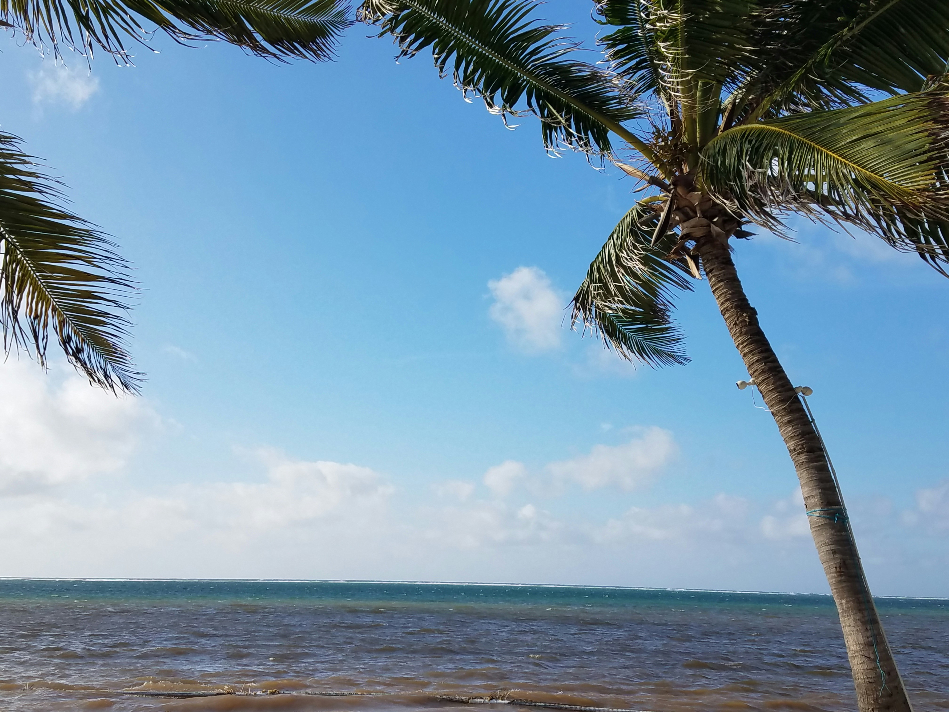 Photo by erikamdjones