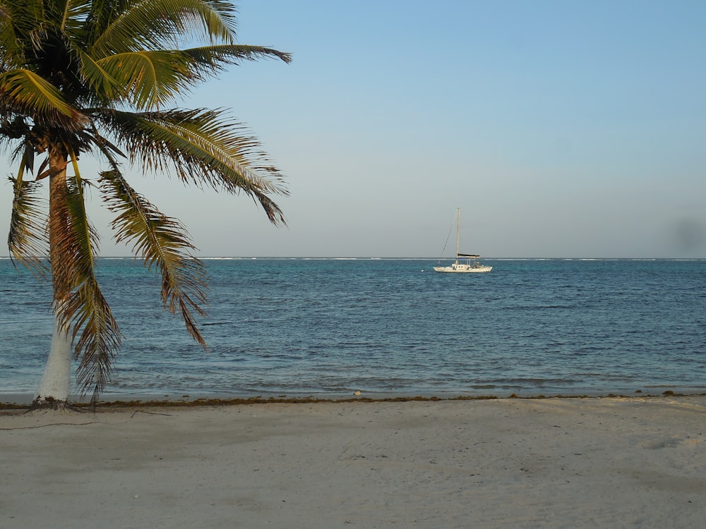 a boat is out in the ocean on a sunny day