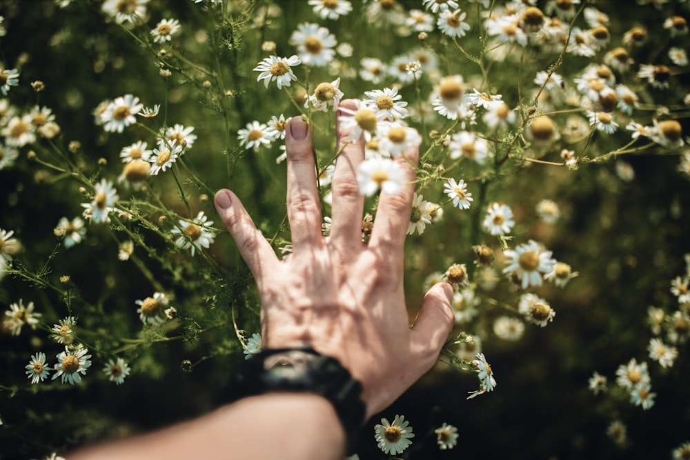 person in black watch holding white flowers