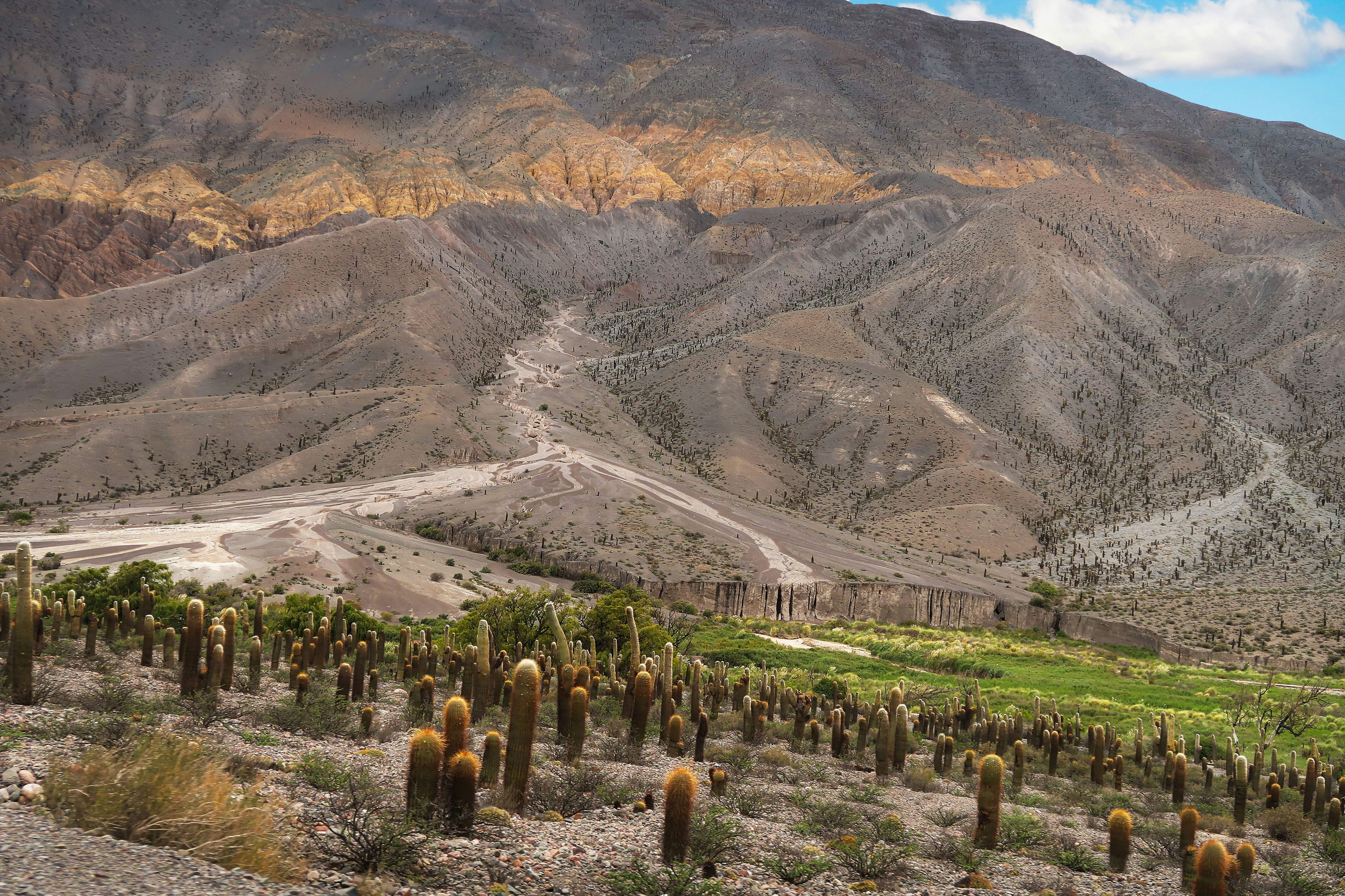 Photo by argentinanatural