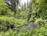 Hikers crossing a crystal-clear mountain stream surrounded by lush greenery.