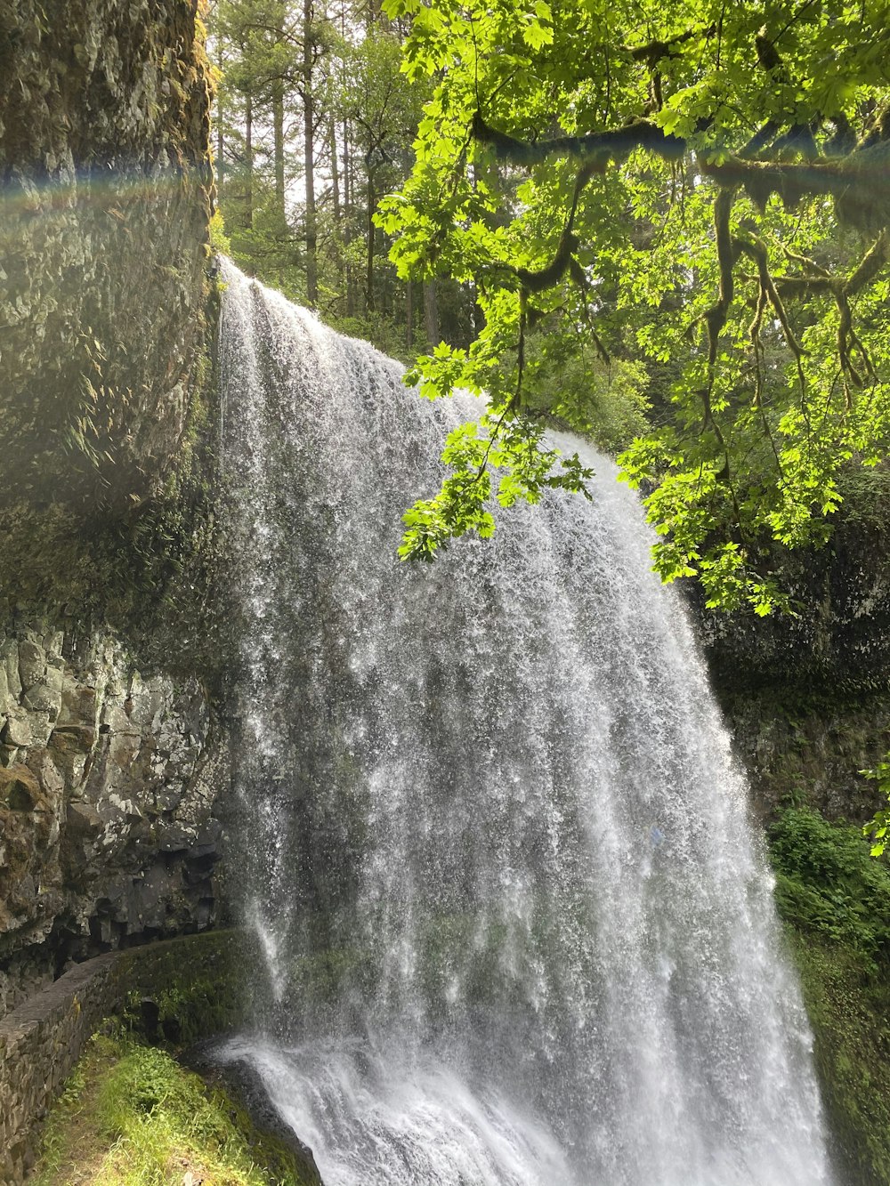 waterfalls in the middle of the forest