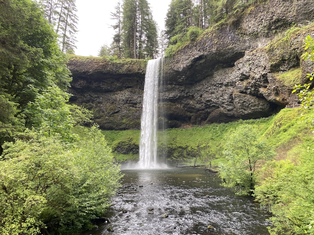 waterfalls in the middle of the forest