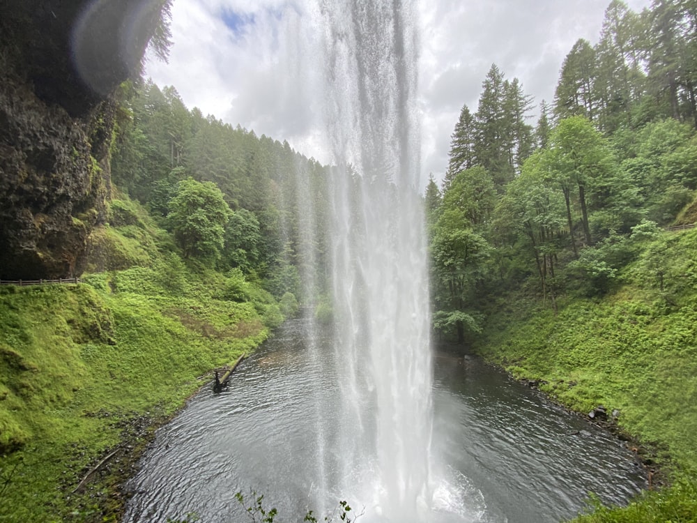 water falls between green trees during daytime