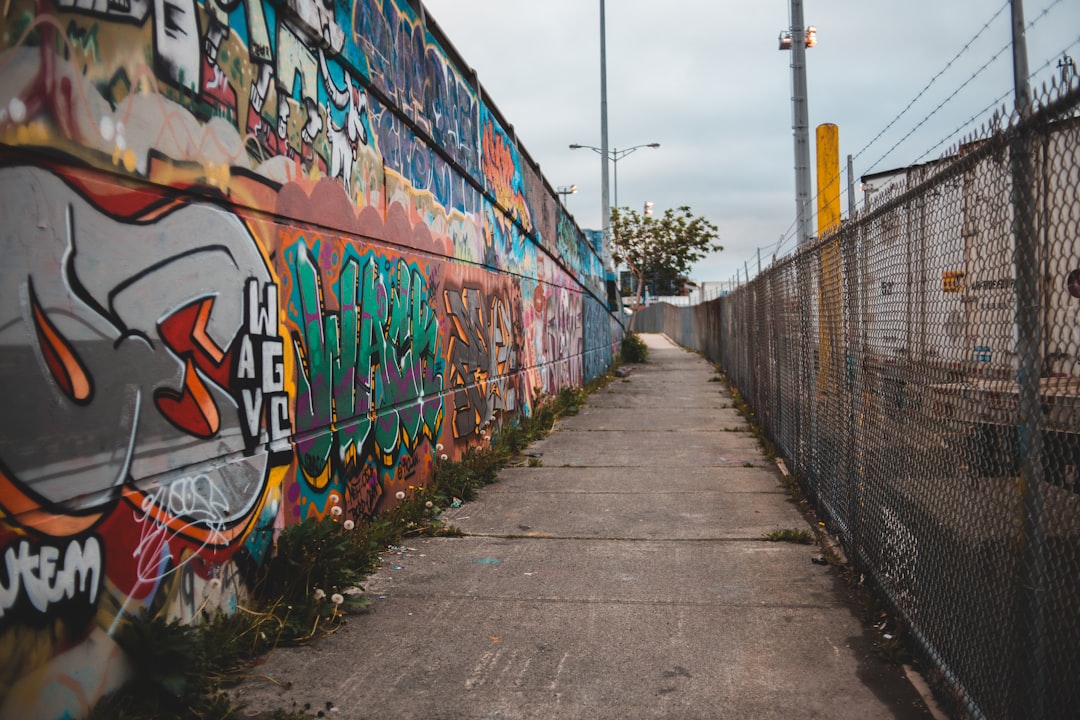 graffiti on wall during daytime