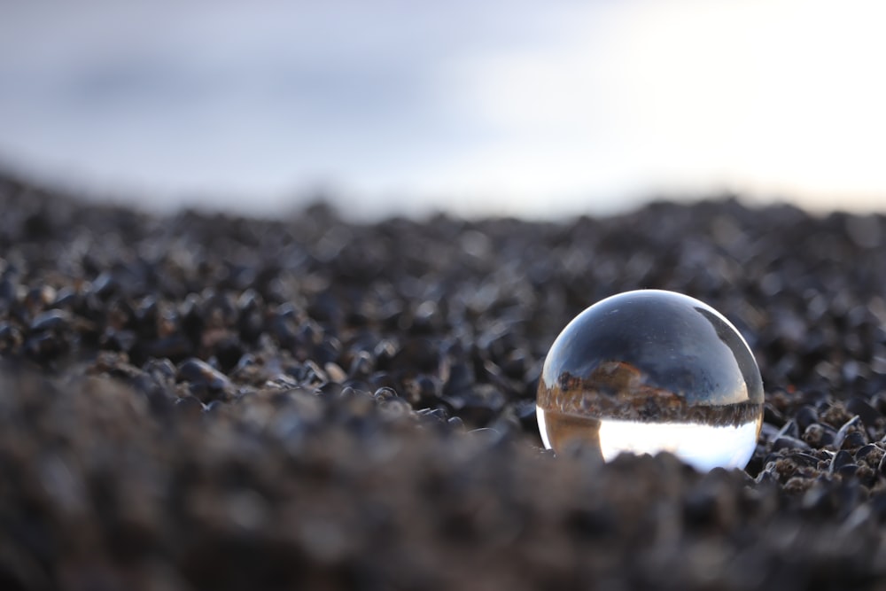 clear glass ball on black and white pebbles