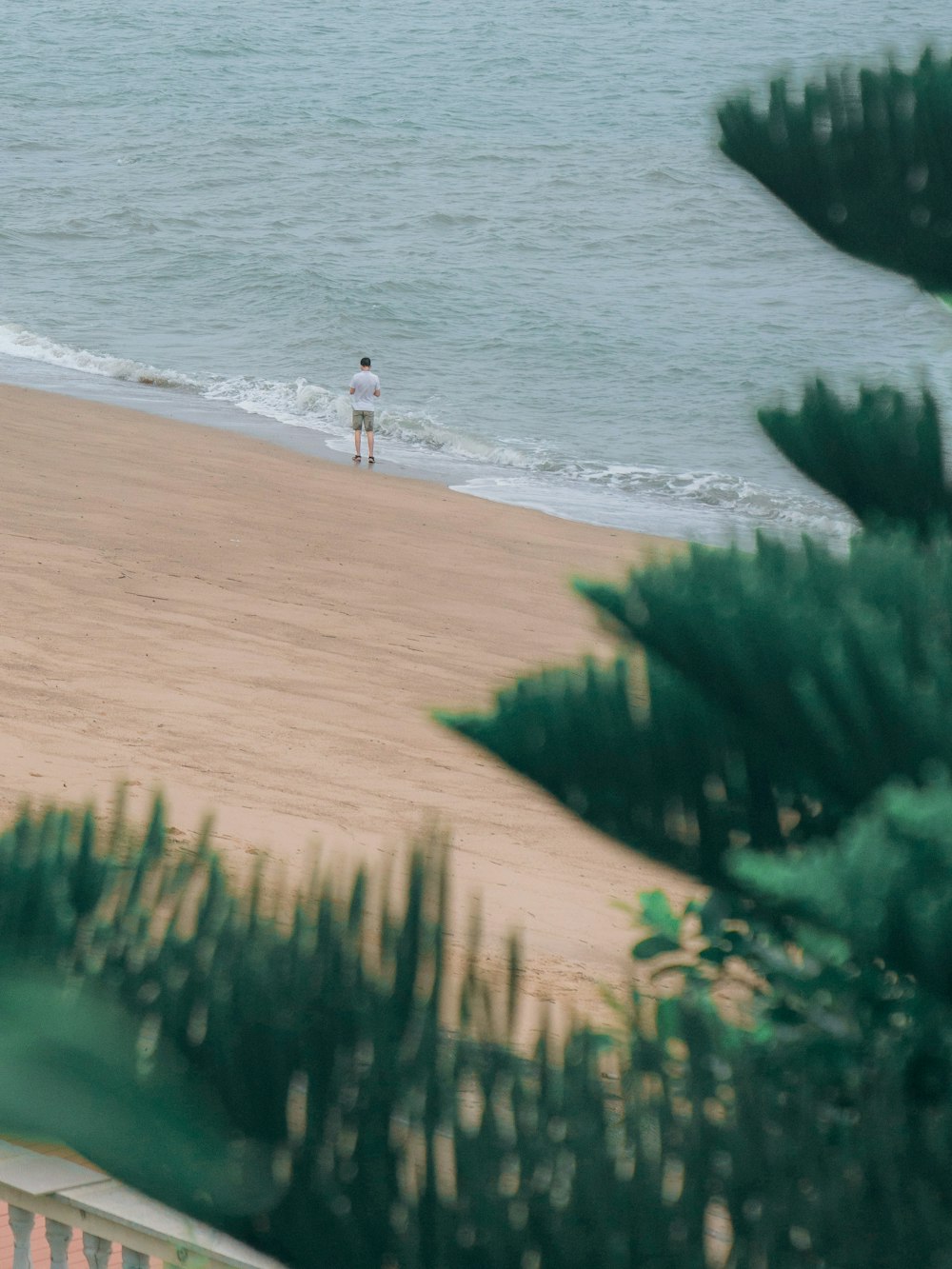 person in white shirt walking on seashore during daytime