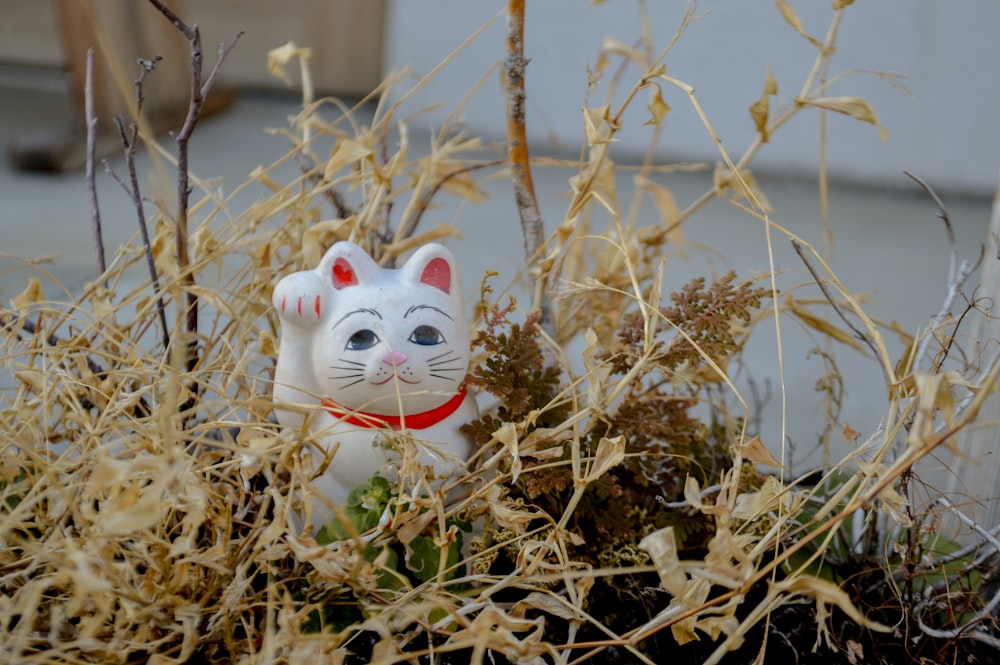 white cat ceramic figurine on brown dried leaves