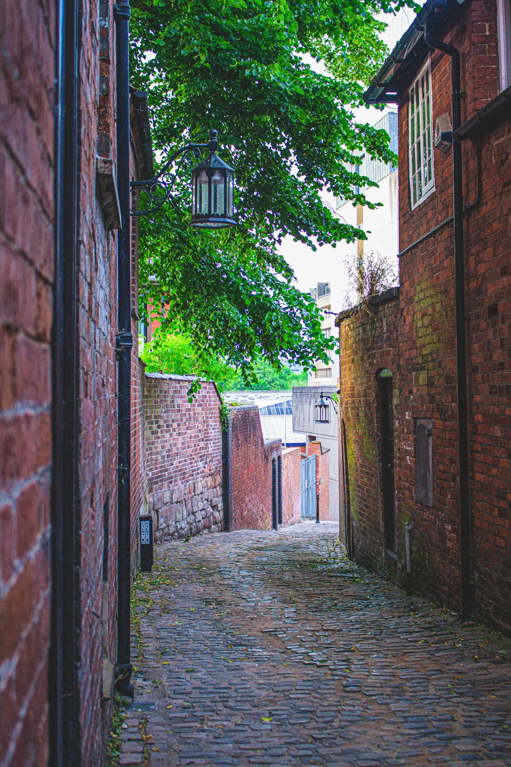 brown brick wall with green plants on the side