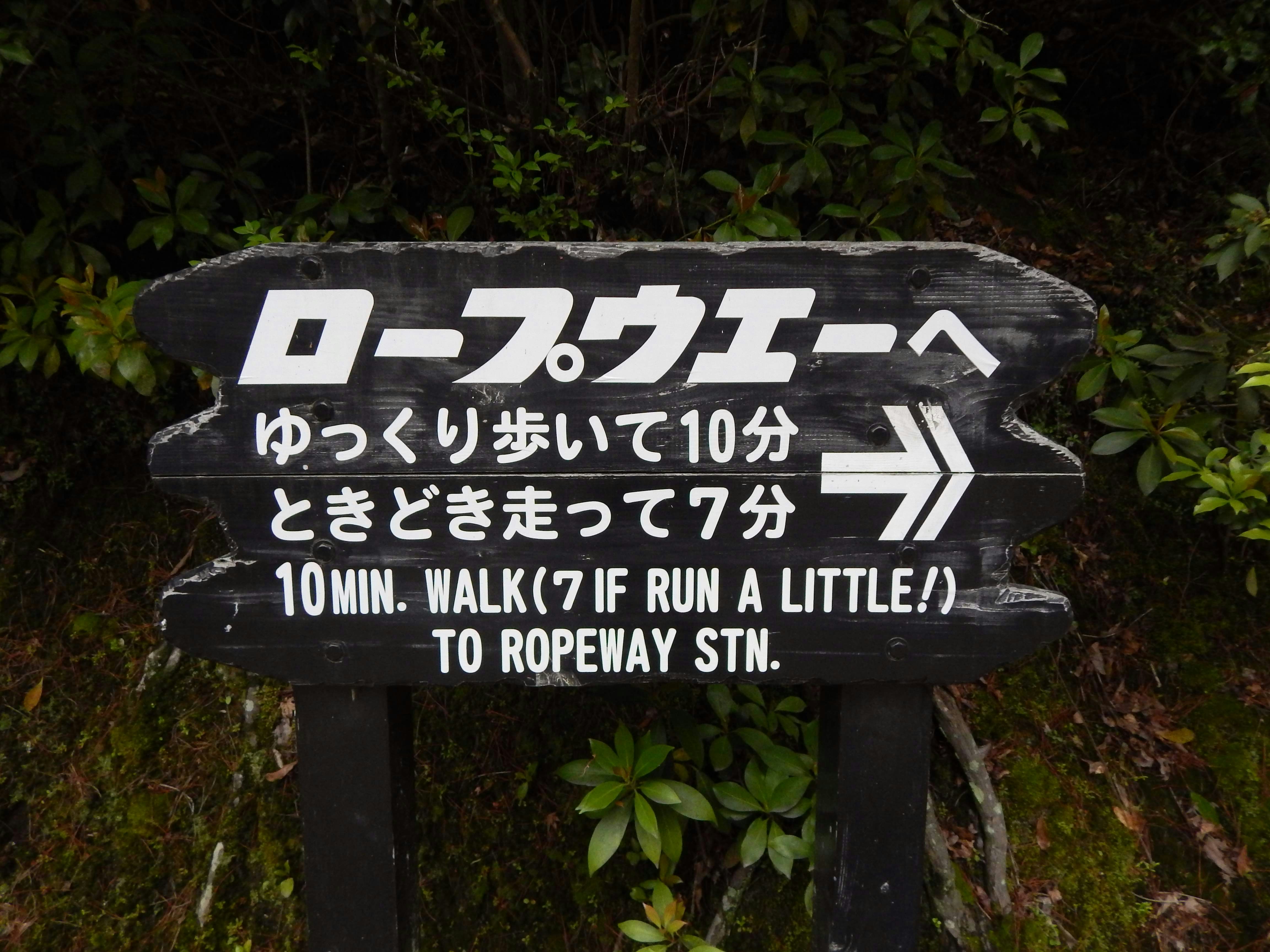 black and white wooden signage