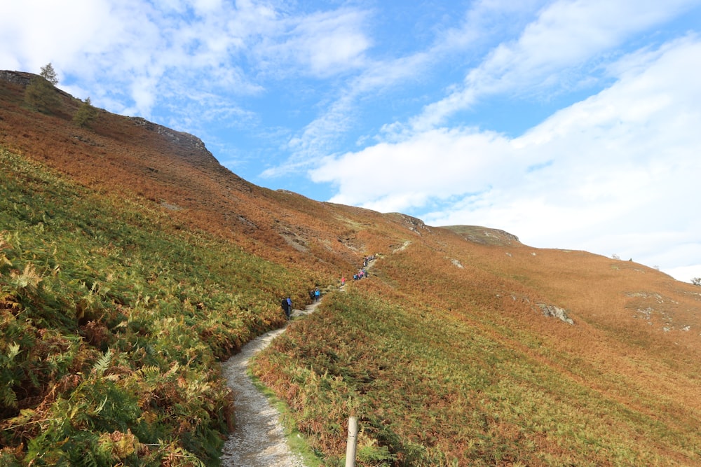 green grass field near mountain under blue sky during daytime