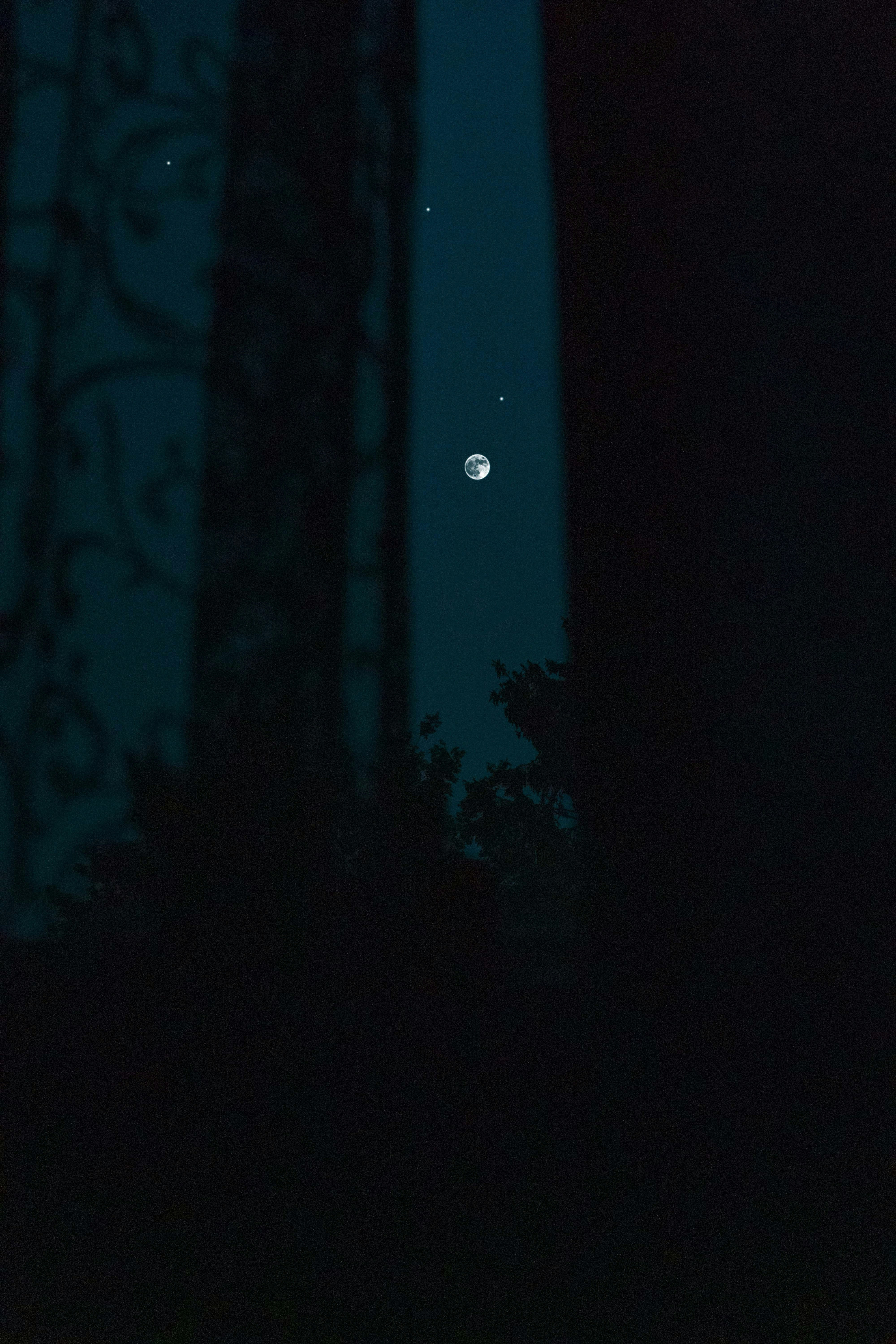 Photo by omarvellous14