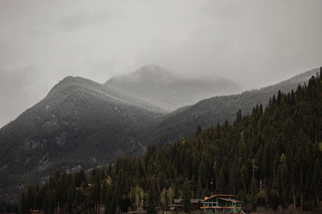 Fog settles into the pines above Grand Lake