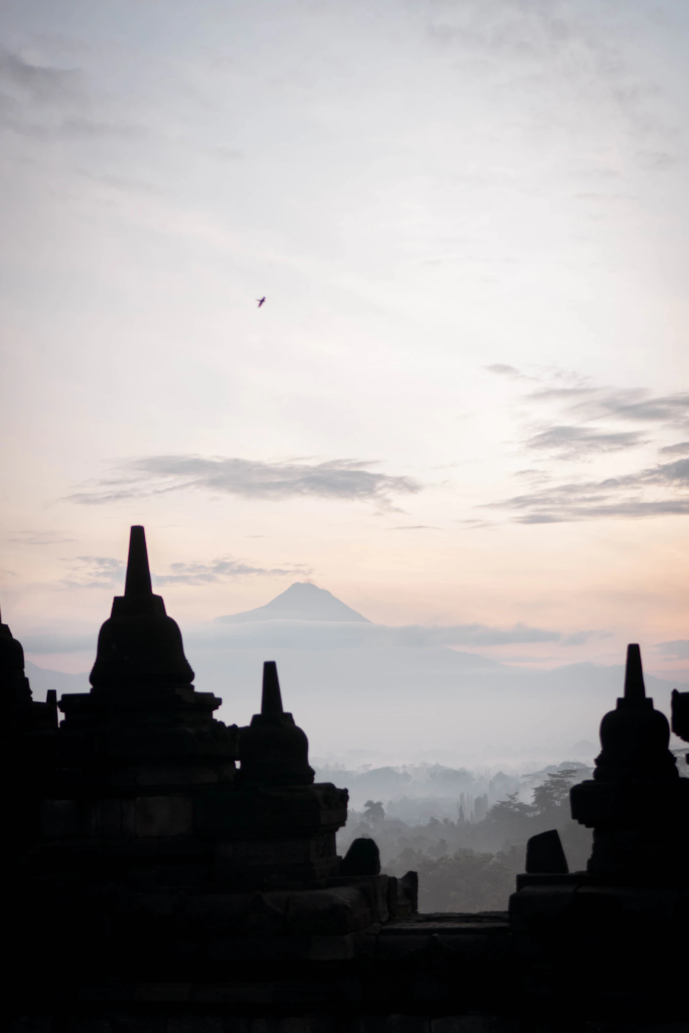 Amanecer sobre las estupas del templo de Borobudur, Magelang, Java Central, Indonesia