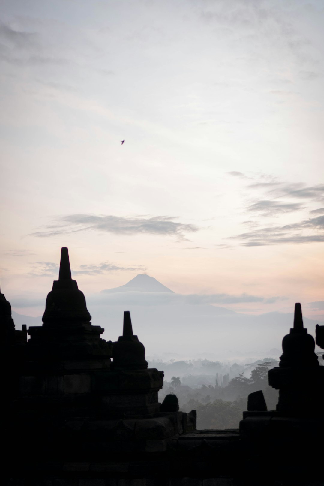 Temple photo spot Borobudur Jogja