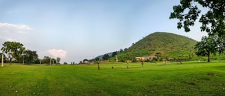 Kids playing frisbee in a wide open field surrounded by tall trees and blue skies.