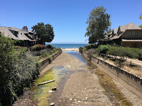 A coastal scene with two houses flanking a narrow path leading to a sandy beach and the ocean. On either side of the path are lush trees and bushes, and the sky is clear with a vivid blue hue.