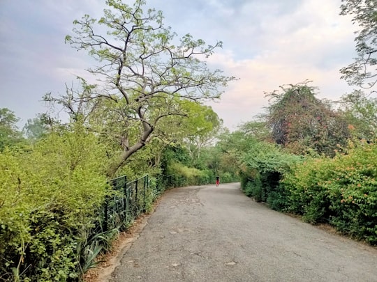 gray concrete road between green trees under white clouds during daytime in Kamla Nehru Ridge India