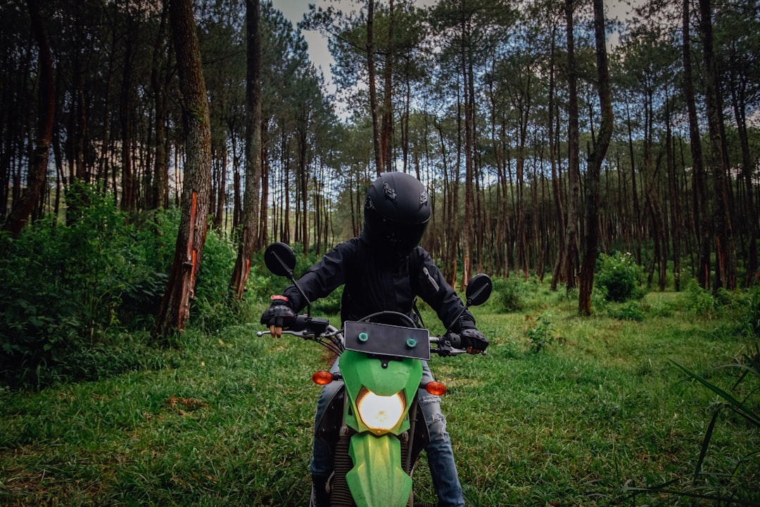 Forest photo spot Lembang Bandung