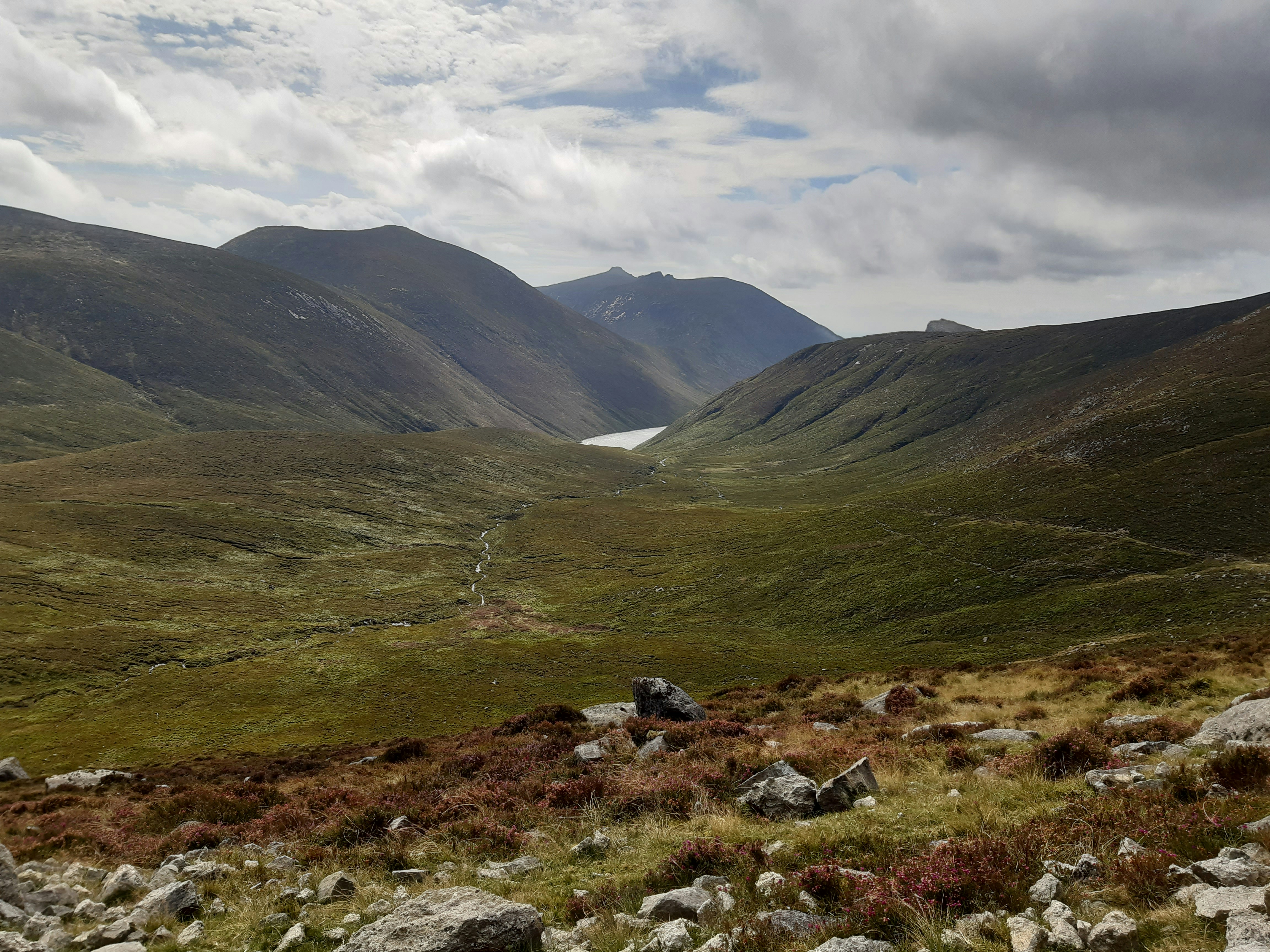 Photo by chunkydunker