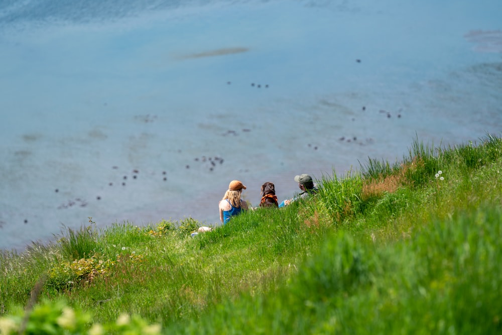 2 children sitting on green grass field near body of water during daytime