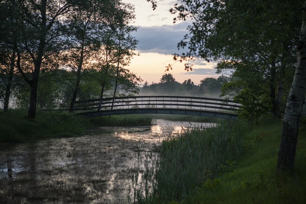 Grünes Gras und Bäume in der Nähe des Flusses tagsüber