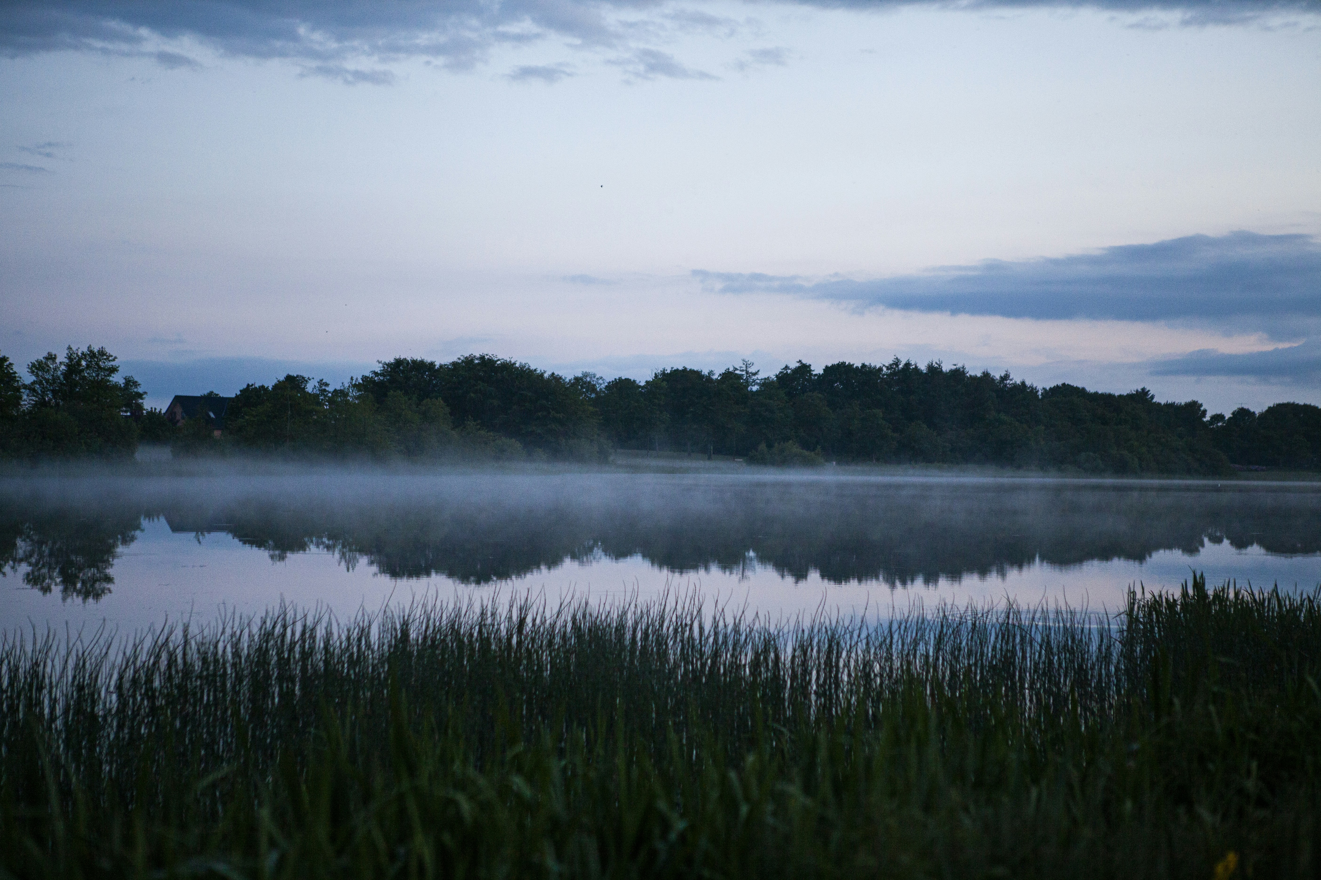 Photo by toft_pilgaard