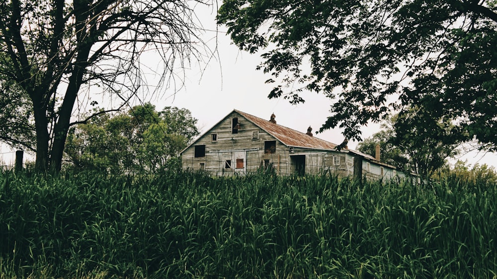 brown wooden house surrounded by green trees during daytime