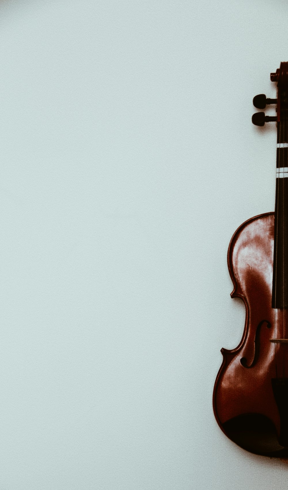 violino marrom na parede branca